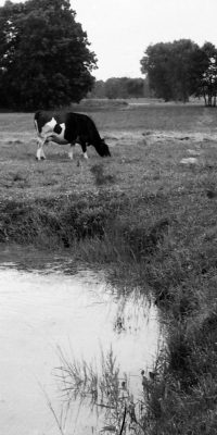 black and white photography Poland 1998 05
