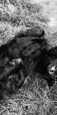 black and white photography Poland 1998 04