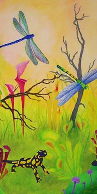 2016 Meadow 60x80 cm 01