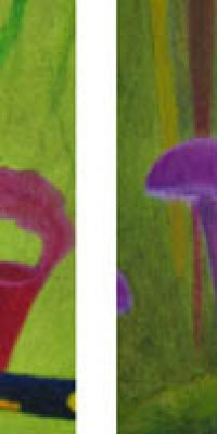 2016 Meadow 60x80 cm 010