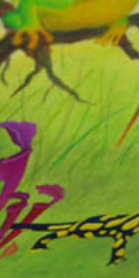 2016 Meadow 60x80 cm 011