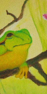 2016 Meadow 60x80 cm 04