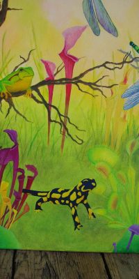 2016 Meadow 60x80 cm 06