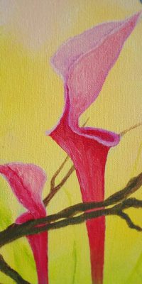 2016 Meadow 60x80 cm 07