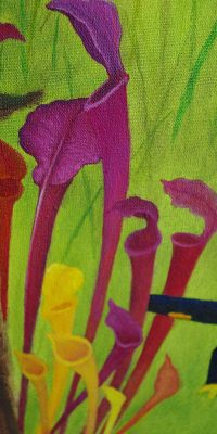 2016 Meadow 60x80 cm 08