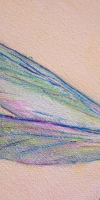 2016 Meadow 60x80 cm 09