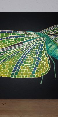 oil painting dragonfly 02f