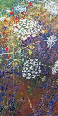 2025 Meadow 40mm x 50mm 2