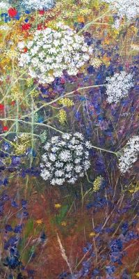 2025 Meadow 40mm x 50mm 4