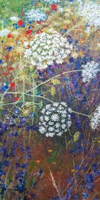 2025 Meadow 40mm x 50mm 6