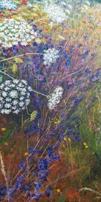 2025 Meadow 40mm x 50mm 7