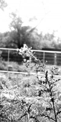 black and white photography London 01a