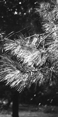 black and white photography London 01e