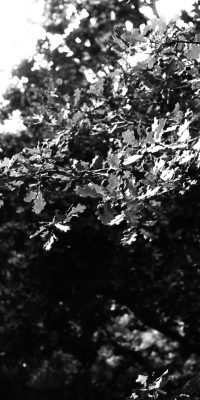 black and white photography London 01c