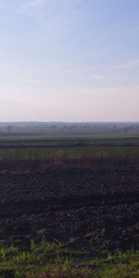 photography polish nature 01i