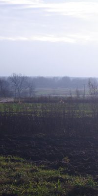 photography polish nature 01g