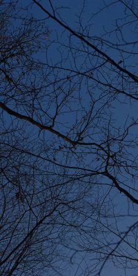 photography polish nature 01c