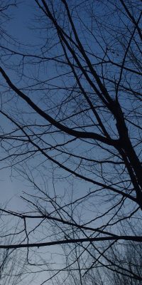 photography polish nature 01b